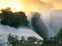 Alex Karman- Natural Wonders